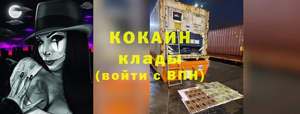 винт Пересвет
