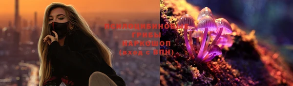 винт Пересвет