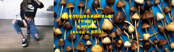 эйфоретик Пестово