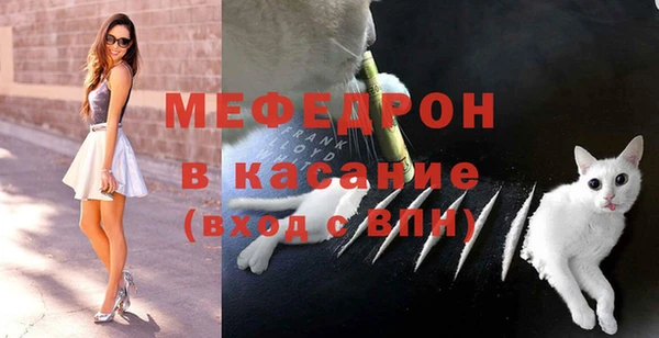 винт Пересвет